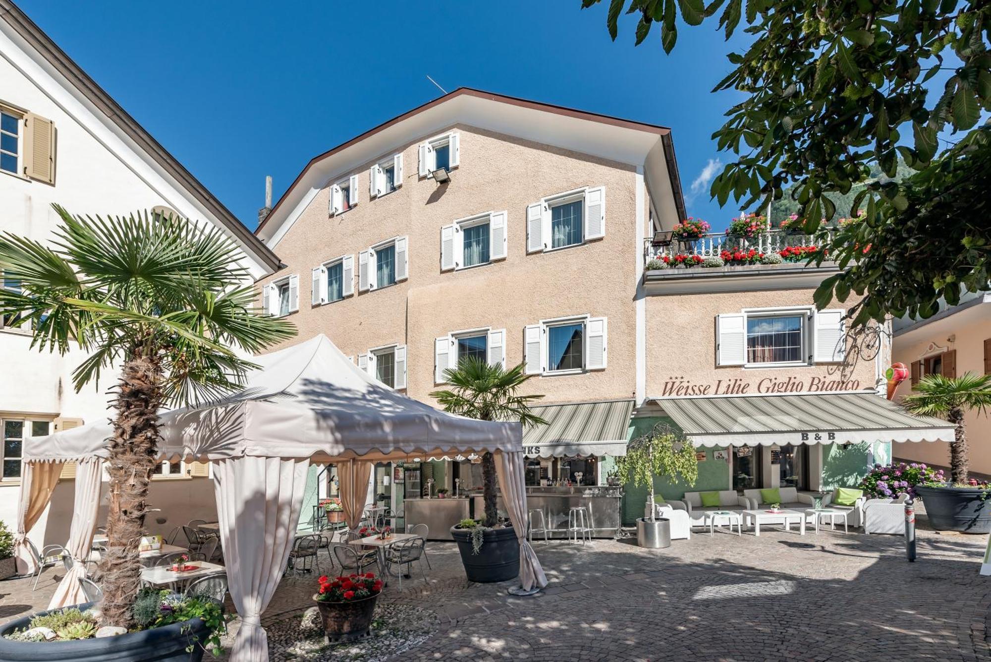 Hotel Weisse Lilie - B&B 리오디푸스테리아 객실 사진